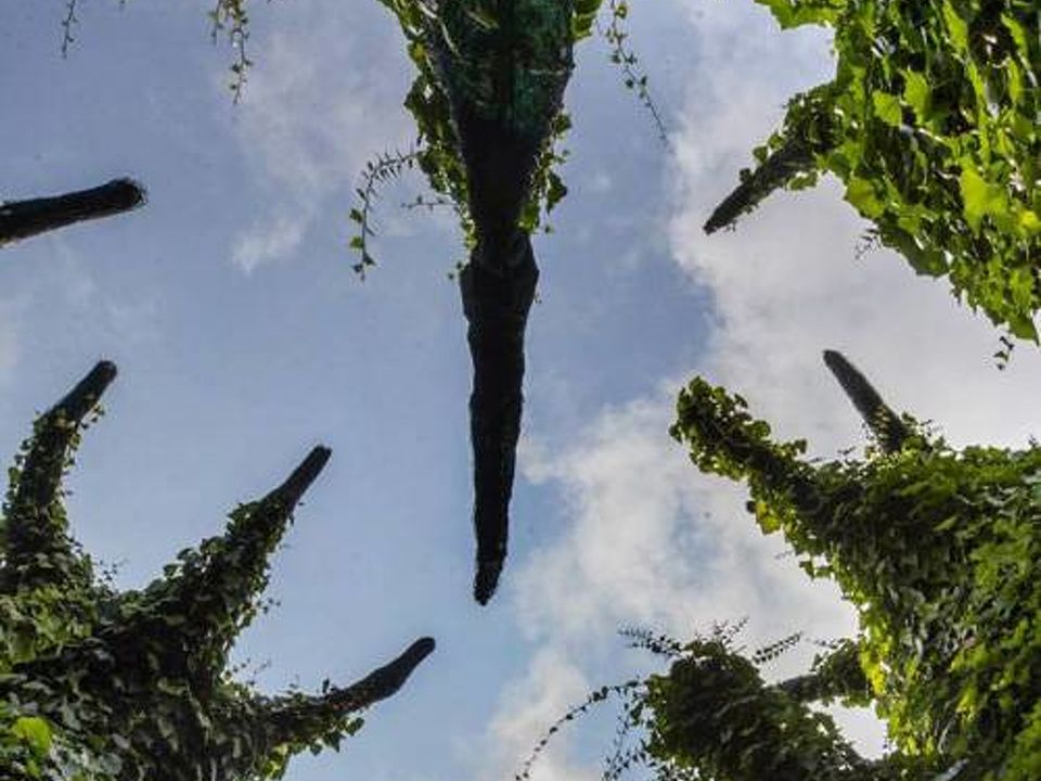 Surrealist Garden at the Hamilton Gardens