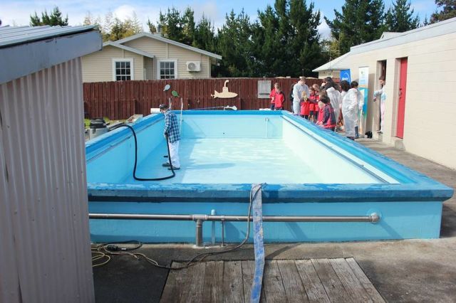 Swimming Pool Coatings After